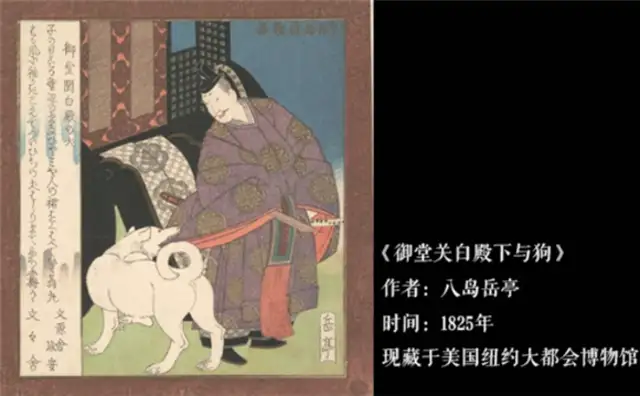 Japanese literature's "dogs": Cats and dogs confront each other, and the wounded are always dogs