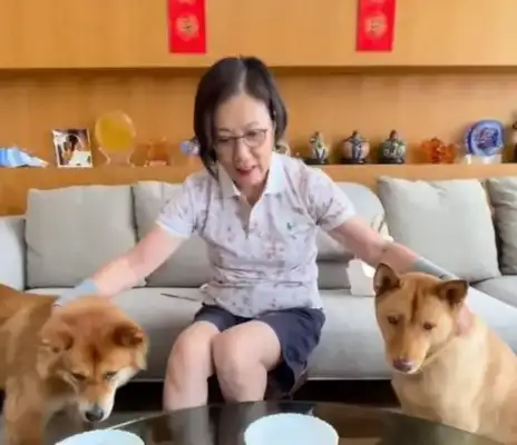 Wang Ming-ho and Luo's moon cakes are too much to feed to dogs