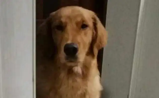 It's very moving when you're keeping your loyalty at the door