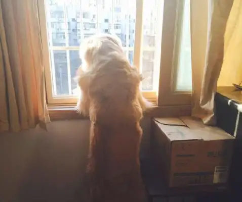 It's very moving when you're keeping your loyalty at the door