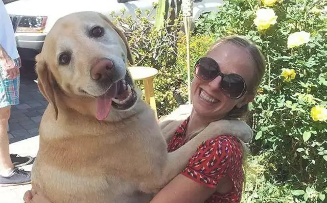 There are a few simple ways to improve dog habits