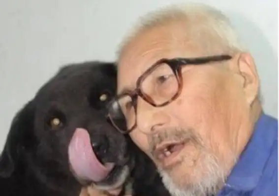 I'm afraid no one will take care of my dog