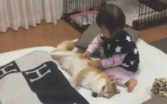 The daughter sleeps with the dog and also has to put it under the covers. Dog: Sleep well, remember to put out the light when you leave