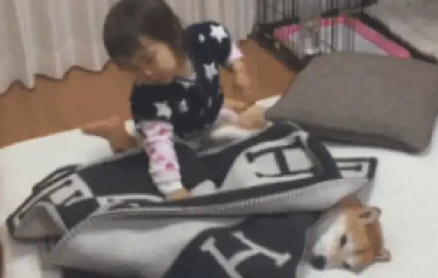 The daughter sleeps with the dog and also has to put it under the covers. Dog: Sleep well, remember to put out the light when you leave