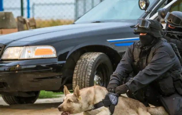 When a dog sees a dog, do you think it's the police