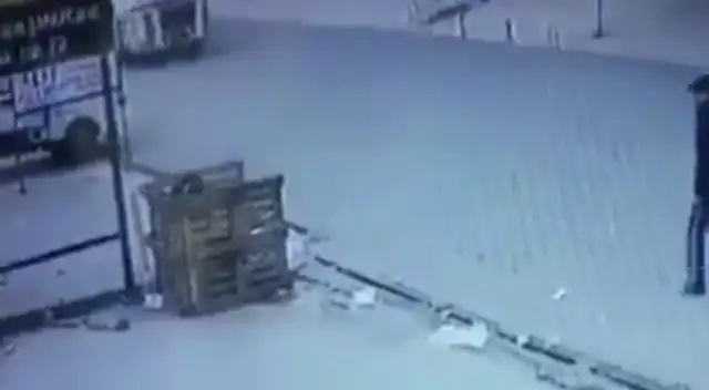 He stopped the stray dog to get out of the truck, but he didn't leave