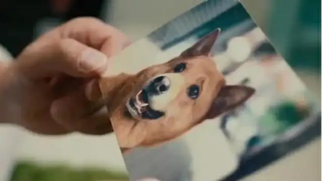 The 17-year-old dog didn't swallow his last bite until the master came home. Gas
