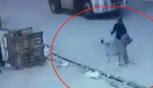 He stopped the stray dog to get out of the truck, but he didn't leave