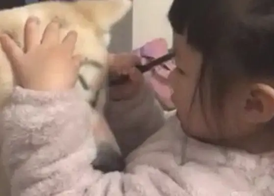 When a girl comes home from work, she sees her daughter in the dog's face, but it hurts a little