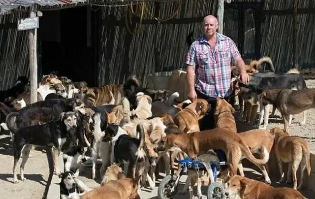 One hundred and fifty dogs go to dinner. Big family dogs have rehearsals. Dogs know how to eat