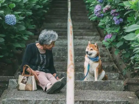 The old man and the dog, they're on fire