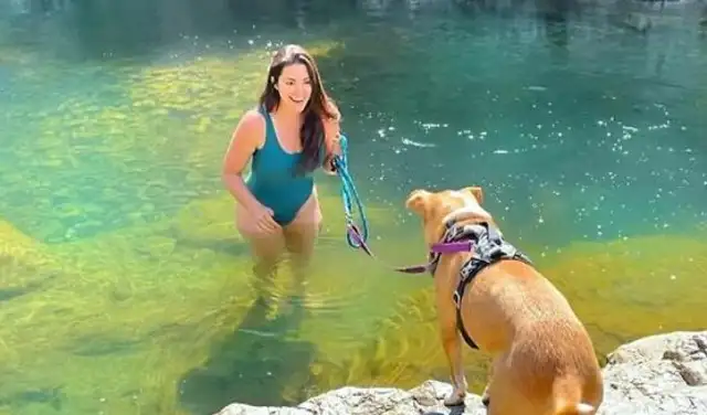After meeting the stray dog, he was chased for a long time and decided to adopt it