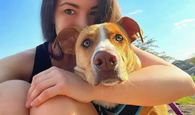 After meeting the stray dog, he was chased for a long time and decided to adopt it