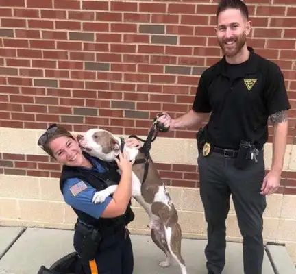 The Beagle was tortured by the master on the tree, and thanks to volunteers and the police for their help