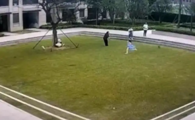 The little girl fell after being chased by a dog with no rope for nearly 30 seconds, and the dog owner fell down. Watch