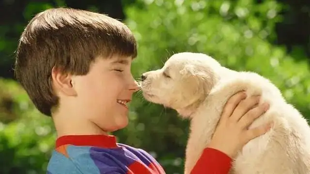 Why do dogs lick people? It's not just about loving you
