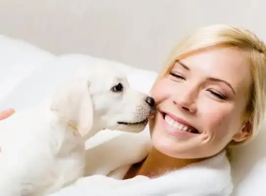 Why do dogs lick people? It's not just about loving you