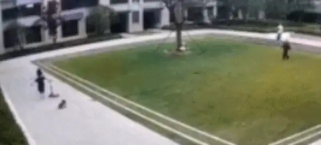 The little girl fell after being chased by a dog with no rope for nearly 30 seconds, and the dog owner fell down. Watch