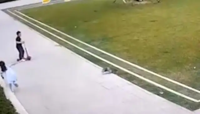 The little girl fell after being chased by a dog with no rope for nearly 30 seconds, and the dog owner fell down. Watch