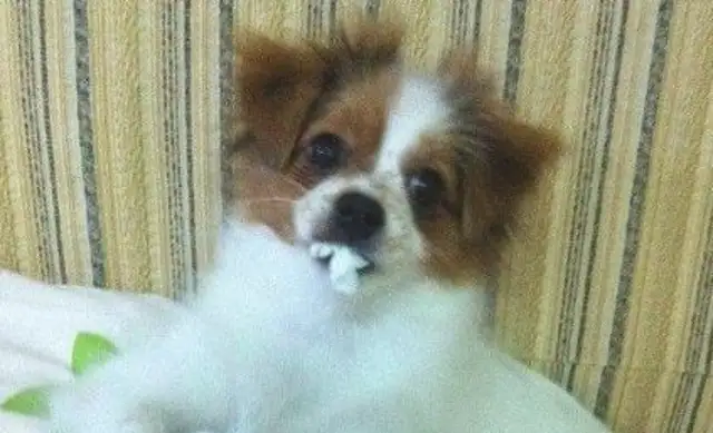 It's funny to go home after work and see the dog, "Smoke up."!