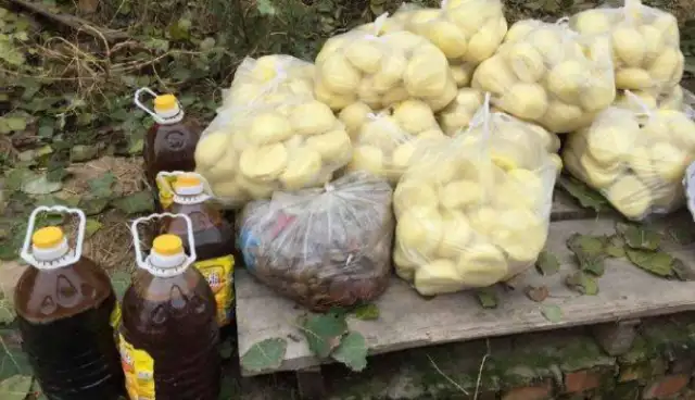 The rescue was never done by one person, but she lasted 20 years for over 600 stray dogs;