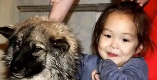 Four-year-old girl lost in the wilderness