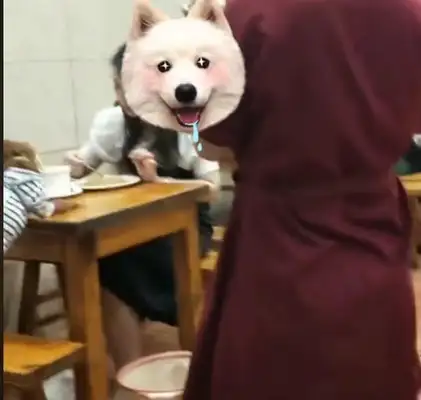 The dog at the table, the restaurant owner is in trouble