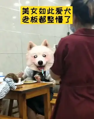 The dog at the table, the restaurant owner is in trouble