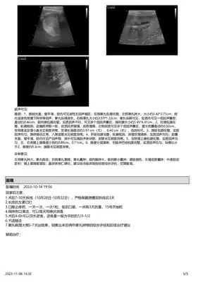 Heilongjiang search and rescue dog 