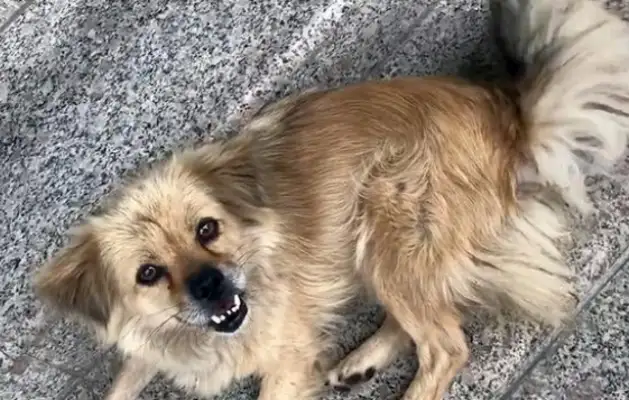 Come to work in the morning and the office is still a dog