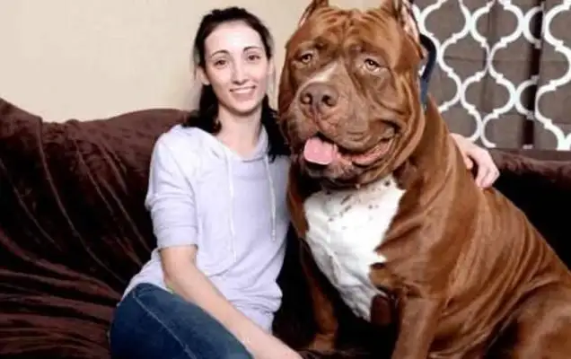 A beautiful woman has a giant bit of a dog