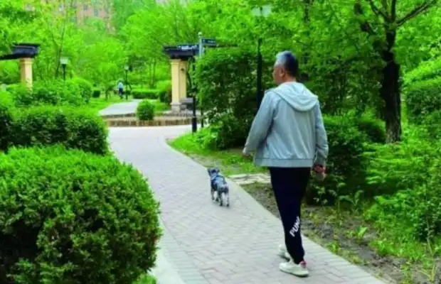 Next month, the new dog regulations will be enforced