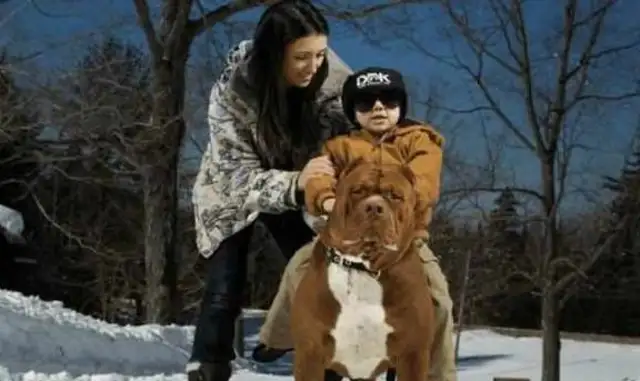 A beautiful woman has a giant bit of a dog