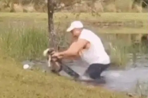 The dog was bit in the water by a crocodile. The master broke open his mouth and saved the dog