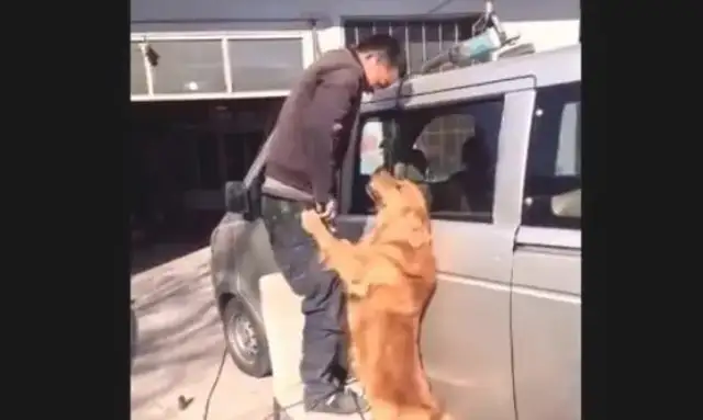 The master fixes the car, the golden doggy is bad, and the owner is angry and embarrassed