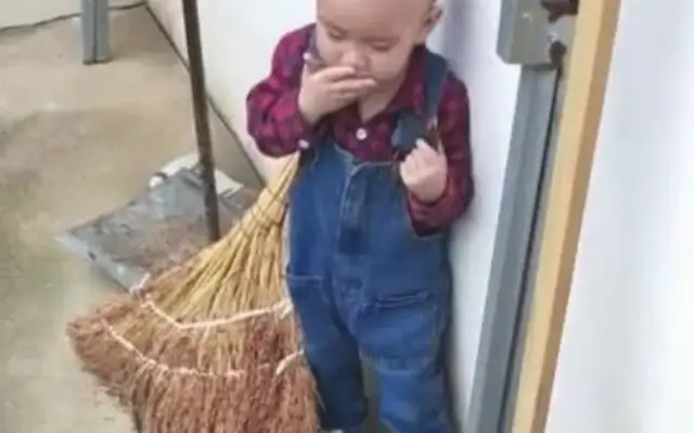 The little snacks that rob the little baby at the door of Haschi, and the little baby is paralyzing and screaming in the earth: "Mom, this stupid dog kisses me!"