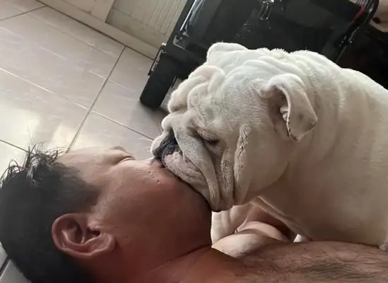 Dad passed out! "The Strongest Three" is in a hurry. Mouth to mouth
