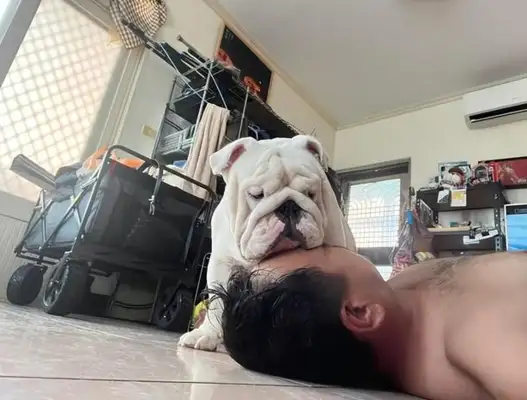 Dad passed out!