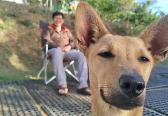 All of a sudden, Tang's going into the family's camera
