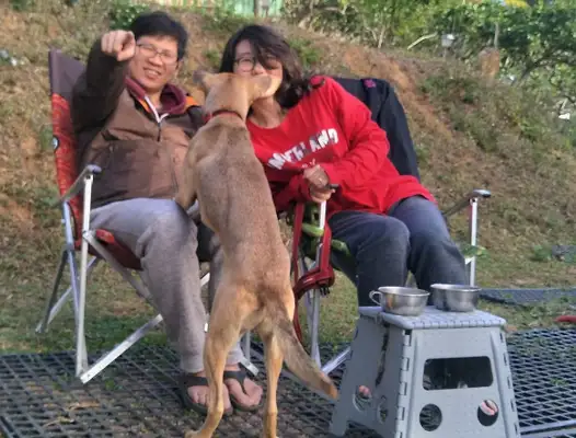 All of a sudden, Tang's going into the family's camera