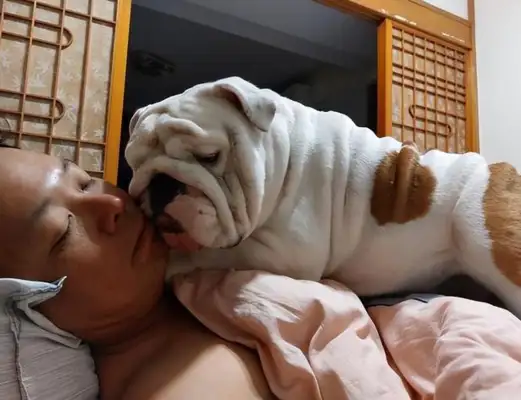 Dad passed out!