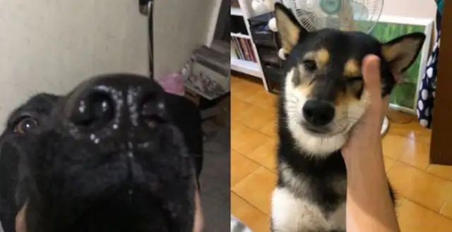 I'm not sure I'm going to be able to take a good look at my face. Bad