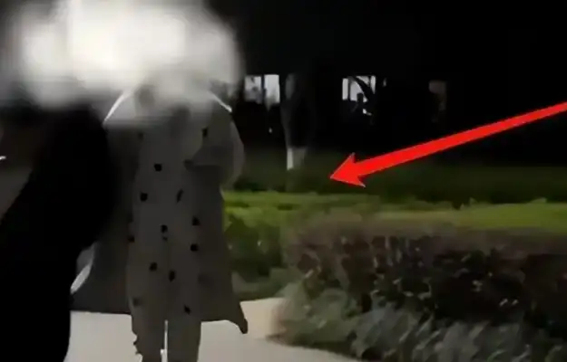 Chongqing Bulldog Incident: Walking the dog without rope, 3 months at large