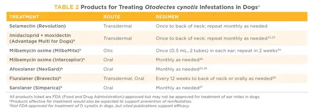 Cathead: Symptoms, causes and total treatment