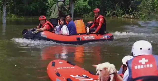The rescue force in Henan's new village is only trying to save people, and it's causing the dog's rage