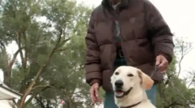 The dog hit a gun bolt with a bullet wound to the leg of a lady in Oklahoma