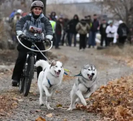 IT'S NOT AS GOOD AS DOGS! FOUR MILLION OF THE U.S. REFUGEES ARE IN EXILE, WHILE UKRAINIAN PETS ARE IN THE VIP ROOM AT THE POLISH CLINIC