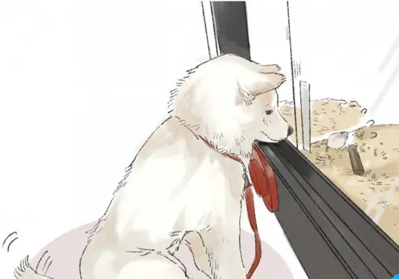 The girl picked up a call and turned her head and watched the dog sit there