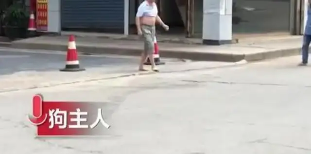 The dog who went to the streets alone was killed alive: dogs caught without strings