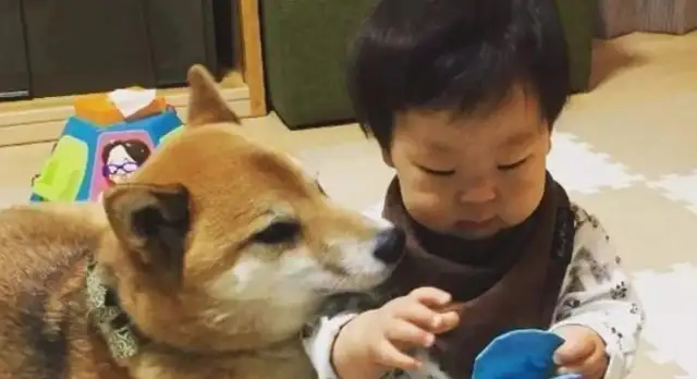 The dog sleeps in the master's place, the baby acts the next second, and the mother smiles and leans